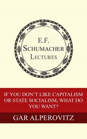 Cover of the book If You Don't Like Capitalism or State Socialism, What Do You Want? by Andrew Kimbrell, Hildegarde Hannum