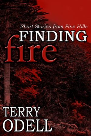 Cover of the book Finding Fire by Julia Bryn
