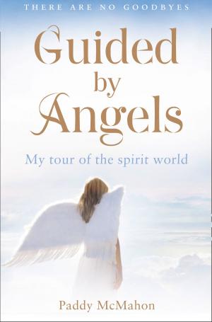 bigCover of the book Guided By Angels: There Are No Goodbyes, My Tour of the Spirit World by 