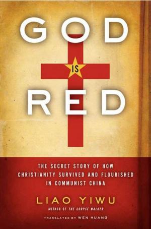 Cover of the book God Is Red by James VanderKam, Peter Flint