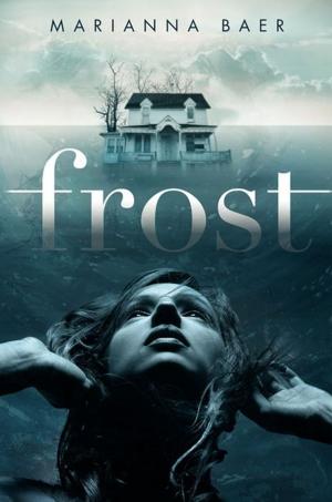Cover of the book Frost by Dan Wells