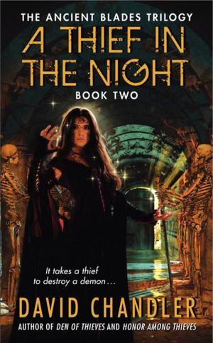 bigCover of the book A Thief in the Night by 