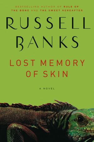 Book cover of Lost Memory of Skin