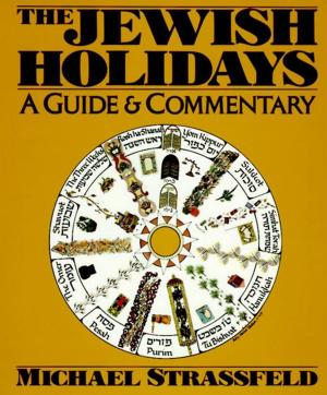 Cover of the book Jewish Holidays by Zoe Fishman
