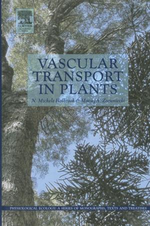 Cover of the book Vascular Transport in Plants by K.P. Prabhakaran Nair