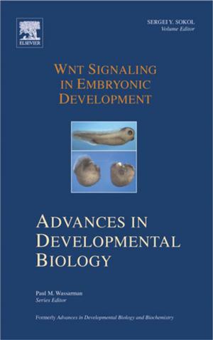Cover of the book Wnt Signaling in Embryonic Development by Nicolas Baghdadi, Mehrez Zribi