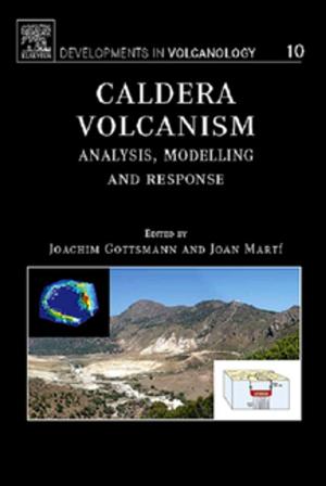 Cover of the book Caldera Volcanism by 