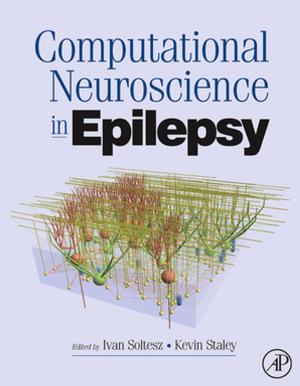 Cover of the book Computational Neuroscience in Epilepsy by Sanjeeb Mishra, Neeraj Kumar Singh, Vijayakrishnan Rousseau