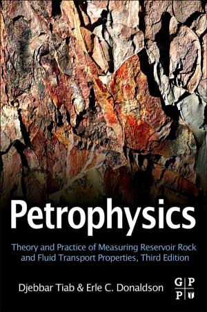 Cover of the book Petrophysics by David Rollinson, S.I. Hay