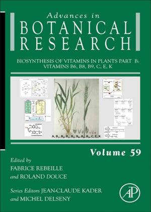 Cover of the book Biosynthesis of Vitamins in Plants Part B by K. N. Leibovic