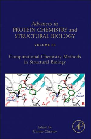Cover of the book Computational Chemistry Methods in Structural Biology by Lars Vage, Lars Iselid