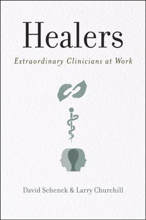Cover of the book Healers by Donna B. Pincus, Jill T. Ehrenreich, Sara G Mattis