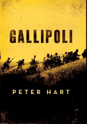 Cover of the book Gallipoli by Stephen Kosslyn