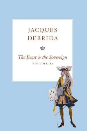 Book cover of The Beast and the Sovereign, Volume II