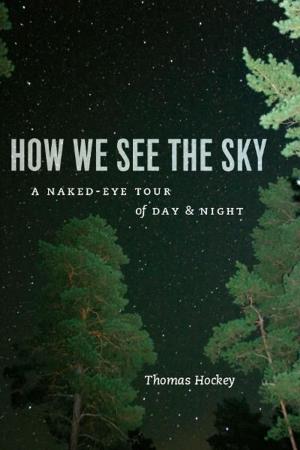 Cover of the book How We See the Sky by Douglas V. Porpora, Alexander G. Nikolaev, Julia Hagemann May, Alexander Jenkins