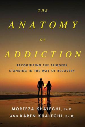 Cover of the book The Anatomy of Addiction by Kristen Lepionka
