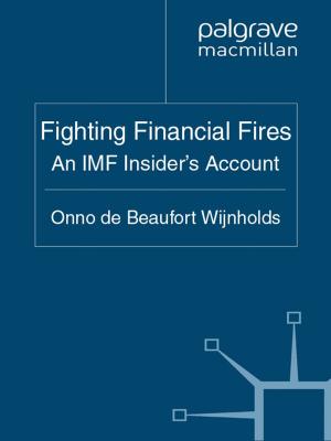 Cover of the book Fighting Financial Fires by Birgit Bräuchler