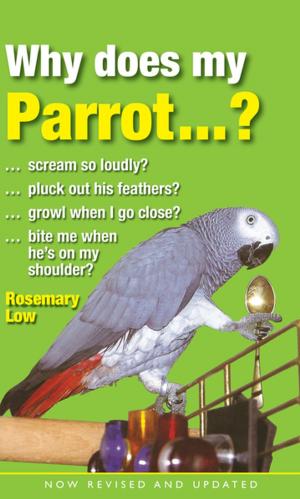 Cover of the book Why Does My Parrot...? by Amanda Kirby Dr.