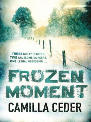 Cover of the book Frozen Moment by Michael Grant