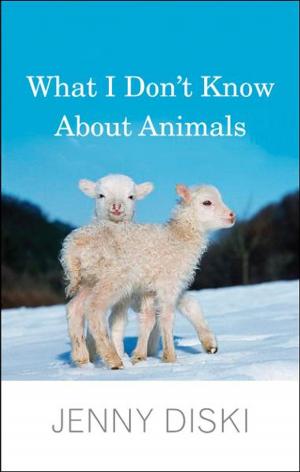 Cover of the book What I Don't Know About Animals by J. E. Lendon
