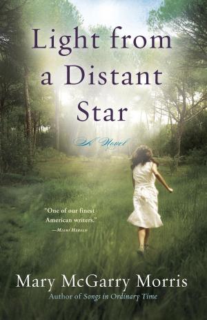 Cover of the book Light from a Distant Star by Alex Siegel