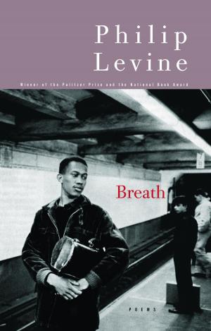 Cover of the book Breath by Martin Walker