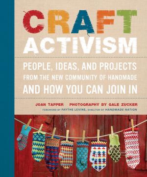 Cover of the book Craft Activism by Potter
