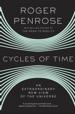 Cover of the book Cycles of Time by Paul A. LaViolette, Ph.D.