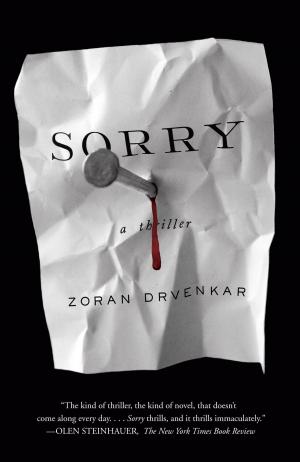 Cover of the book Sorry by Esmeralda Santiago