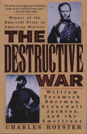Cover of the book The Destructive War by Janusz Szuber