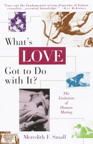 Cover of the book What's Love Got to Do with It? by Edwidge Danticat
