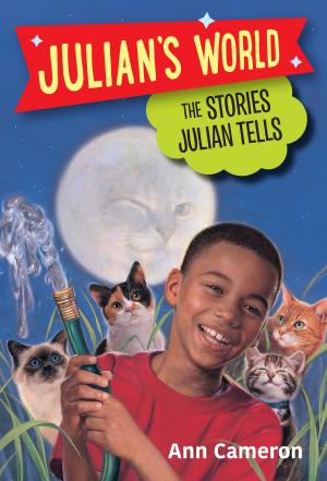 Cover of the book The Stories Julian Tells by Paul Haven