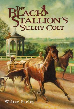 bigCover of the book The Black Stallion's Sulky Colt by 