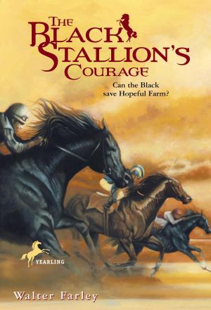 Cover of the book The Black Stallion's Courage by Lance Rubin