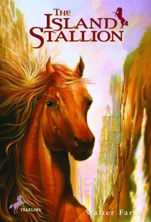 Cover of the book The Island Stallion by Constance Allen