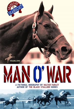 Cover of the book Man O'War by Erin Soderberg, Erin Soderberg Downing