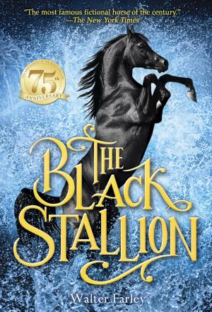 Cover of the book The Black Stallion by Brian Jeffreys