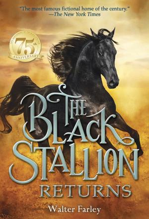 Cover of the book The Black Stallion Returns by Karen Katz