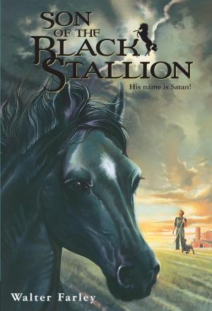 Cover of the book Son of the Black Stallion by Robert Cormier