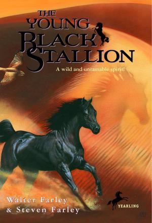 Cover of the book The Young Black Stallion by Martha Moore