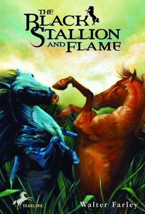 Cover of the book The Black Stallion and Flame by Mary Quattlebaum