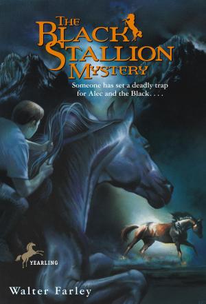 Cover of the book The Black Stallion Mystery by Frank Berrios