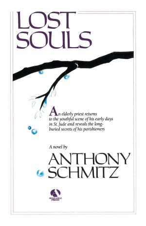 Cover of the book Lost Souls by Arnold Weinstein