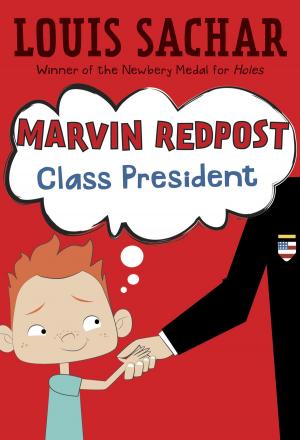 Book cover of Marvin Redpost #5: Class President
