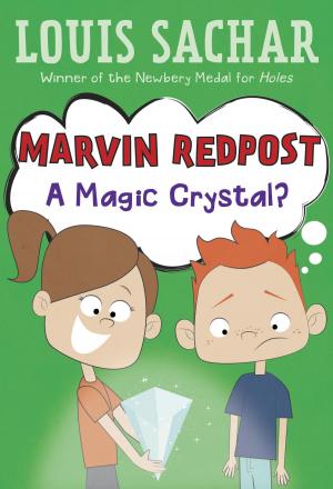 Cover of the book Marvin Redpost #8: A Magic Crystal? by Carrie Harris