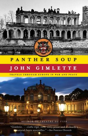 Cover of the book Panther Soup by Ernest J. Gaines