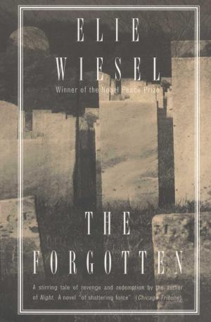 Cover of the book The Forgotten by Suzan Colon