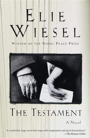 Cover of the book The Testament by Barbara Goldsmith