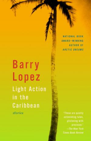 Cover of the book Light Action in the Caribbean by Dick Snyder