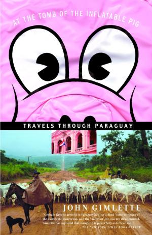 Cover of the book At the Tomb of the Inflatable Pig by Michael Ciupka